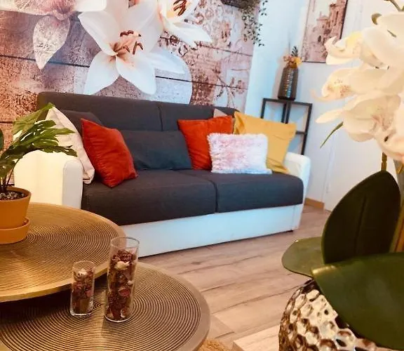 Le Spacieux Honfleur Plage 10Min Apartment *